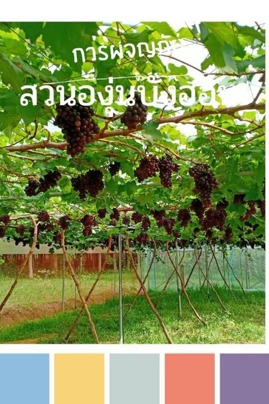 Bang Hon Homestay Ko Yao Noi Buitenkant foto