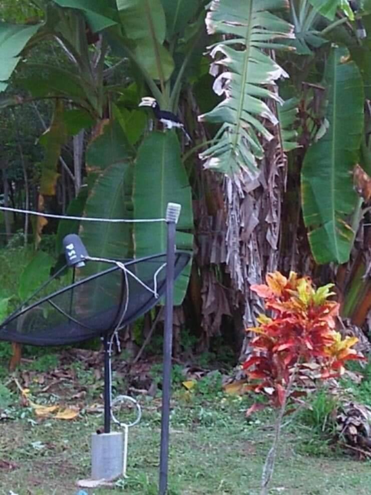Bang Hon Homestay Ko Yao Noi Buitenkant foto