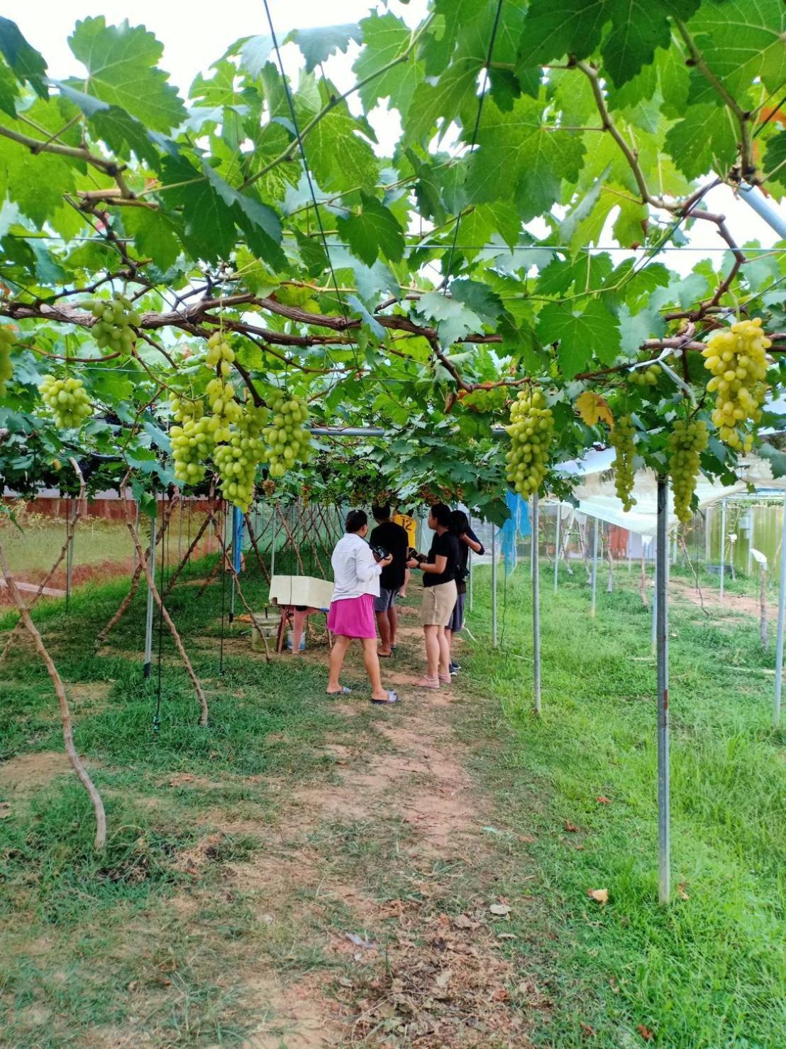 Bang Hon Homestay Ko Yao Noi Buitenkant foto